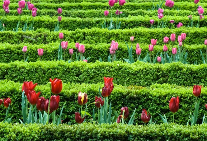 Index of /wp-content/uploads/2011/11